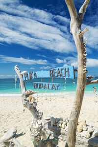 Driftwood on beach against sky