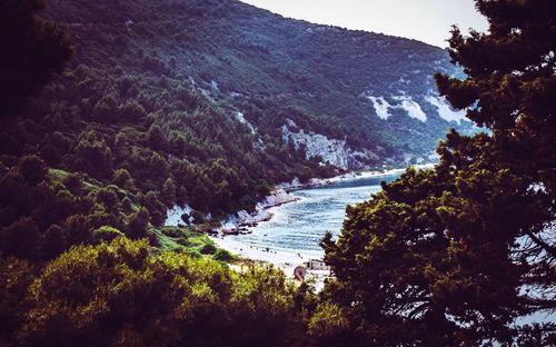 Scenic view of river amidst trees against sky