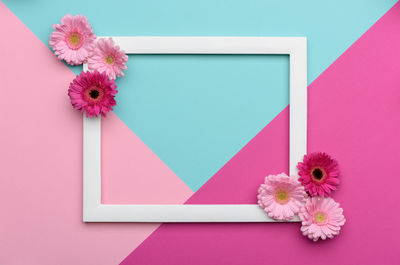 Close-up of pink flowers on table