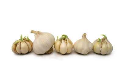 Close-up of pumpkins against white background