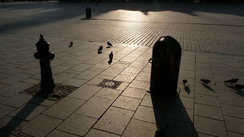 Shadow of birds on walkway