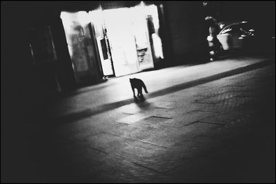 Silhouette of man walking in corridor