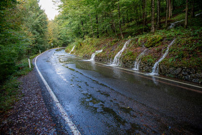 Road amidst trees in forest