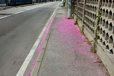 View of road with trees in background