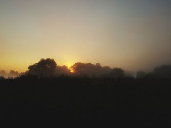 Silhouette trees against sky during sunset