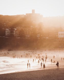 People at beach during sunset