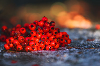 Close-up of cherries in water