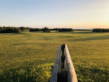 Scenic view of field against clear sky