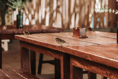 Close-up of old chair on table