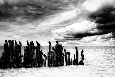 People on wooden posts in sea against sky