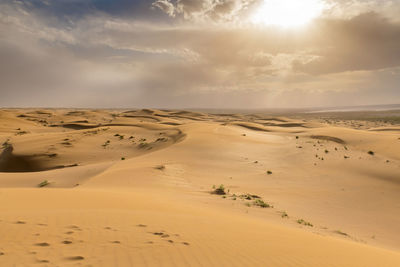 Scenic view of desert against sky