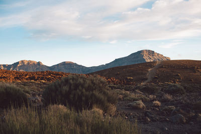 Scenic view of desert against sky