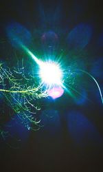 Sun shining through trees