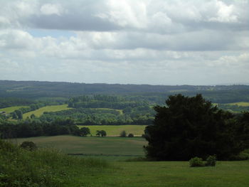 Scenic view of agricultural field against sky