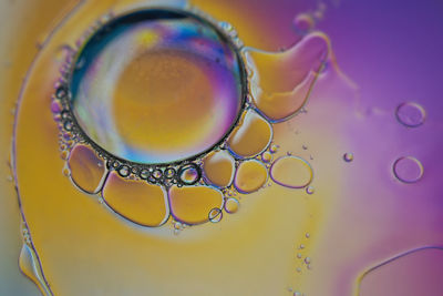 Close-up of bubbles in water