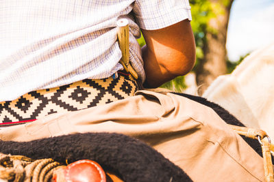 Midsection of man sitting on horse