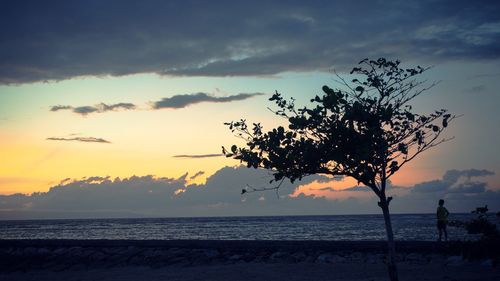 Scenic view of sea at sunset