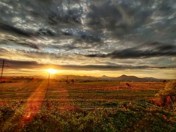 Scenic view of field against sky during sunset