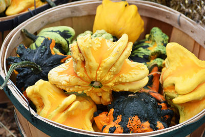Close-up of pumpkins in bowl