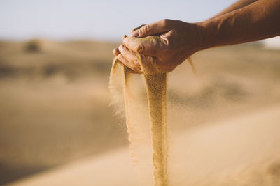 Close-up of hand holding sand at beach