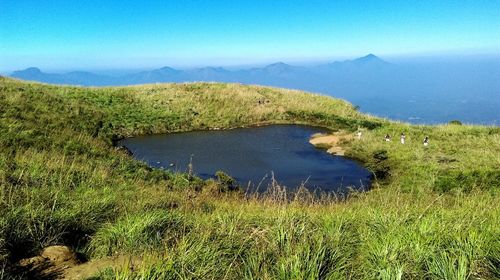 Scenic view of green landscape against blue sky