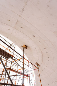 Low angle view of insect on ceiling