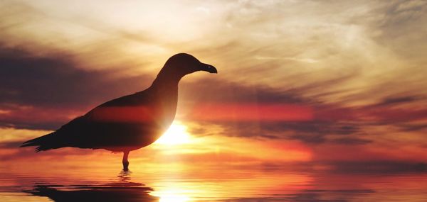 Scenic view of sea at sunset