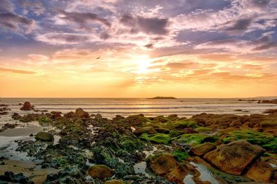 Scenic view of sea at sunset