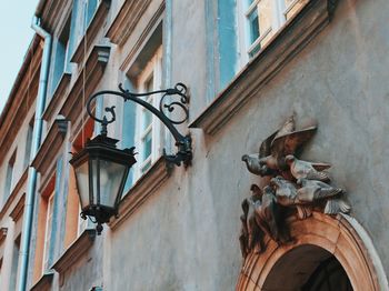 House with pigeons