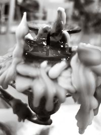 Close-up of hands holding ice cream