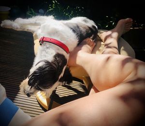 Midsection of woman with dog relaxing outdoors
