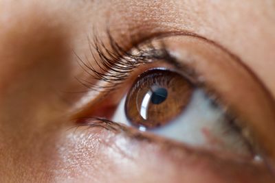 Close-up human eye