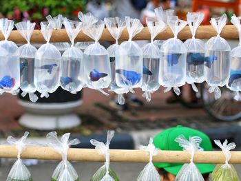 Close-up of clothes hanging for sale