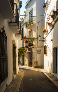 Street amidst buildings in city