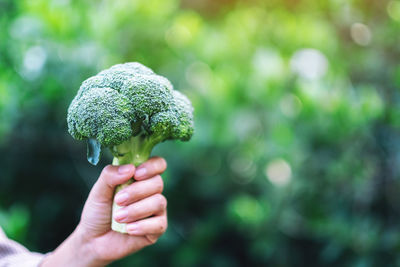 Cropped hand of woman holding broccoli outdoors