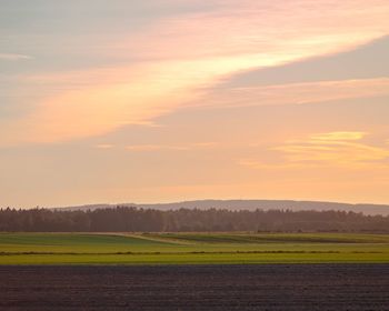Scenic view of field against sky during sunset