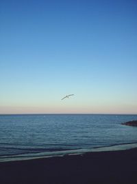 sea