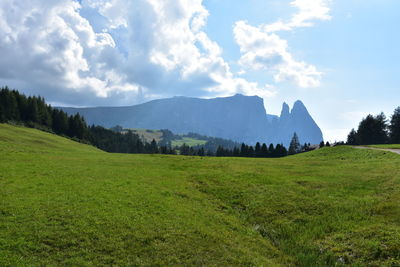 Scenic view of the field against the sky