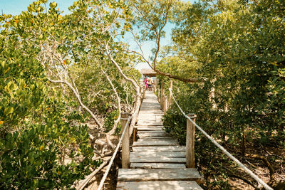 Tourists walking on the mangrove boardwalk at mida creek in watamu during low tide, malindi, kenya