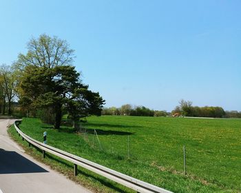 Scenic view of field against clear sky