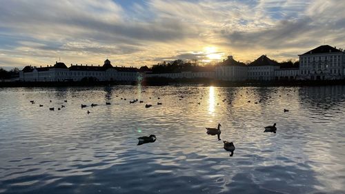 Ducks swimming in water at sunset