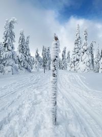Trees on snow covered field against sky