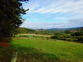 Scenic view of landscape against cloudy sky