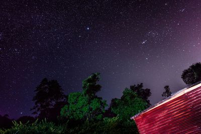 Low angle view of trees against sky at night