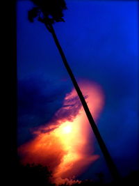 Low angle view of silhouette tree against sky at sunset