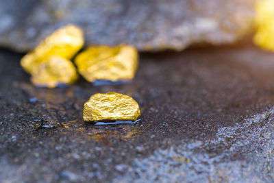 Close-up of yellow leaf on rock