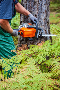 Man working on tree trunk