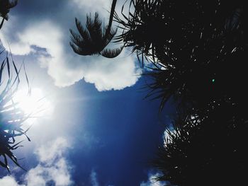 Low angle view of trees against cloudy sky