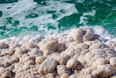 High angle view of rocks on shore