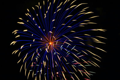 Low angle view of firework display against sky at night